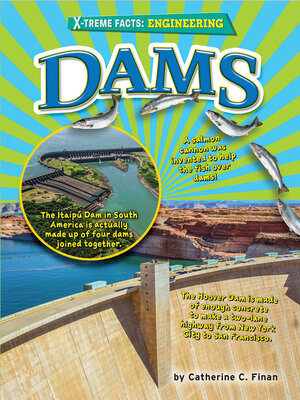 cover image of Dams